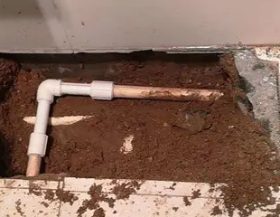 南澳测漏水哪家好