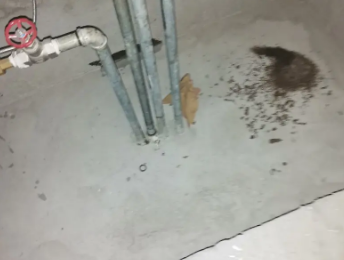 南澳卫生间测漏水价格明细